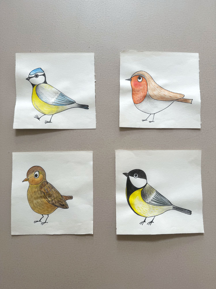 Tekeningen van vogels met kleurpotloden